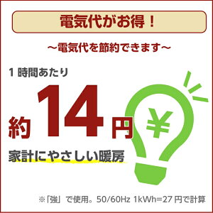 電気代がお得
