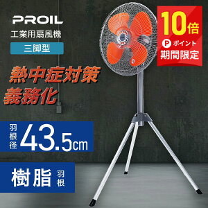 w10{PIxyHsvz ^b`܂肽 HƗp@ H 43.5cm Or^ H U  C HƗp@ HƐ@ H@ Hp@ Ɩp