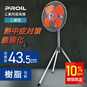 yHsvz ^b`܂肽 HƗp@ H 43.5cm Or^ H U  C HƗp@ HƐ@ H@ Hp@ Ɩp@ Ɩ@ 