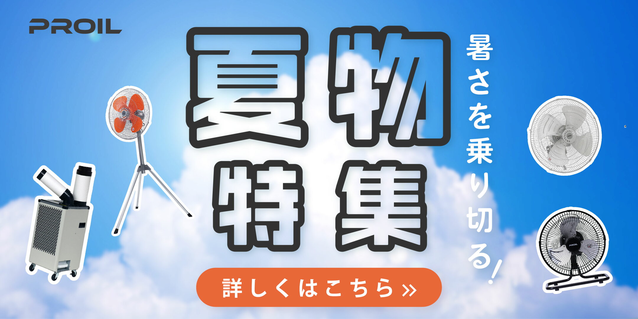 夏物特集