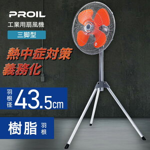 yHsvz ^b`܂肽 HƗp@ H 43.5cm Or^ H U  C HƗp@ HƐ@ H@ Hp@ Ɩp@ Ɩ@ 