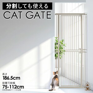 186.5cm L Eh~Q[g nC^Cv ybgQ[g lR CATGATE LQ[g  tFX ؃bgtFX Q[g L Ch ˂ S hA L  LbgEH[ x_  