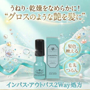 �S�N�r�v�� PREMIUM �O���[���e�B�[�A���} GLOSS SERUM 36mL�b�w�A�I�C�� �O���X�Z�����b���Z�x�s���A�I�C�� ���˂� ���� �_���[�W��C �c�� 2Way����
