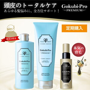 ywz 30OFF SNrv PREMIUM O[eB[A} Vv[g[gg&fBJXJv[V3_Zbg E萔 y2ڈȍ~20%OFF