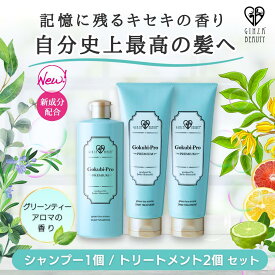 ゴクビプロ PREMIUM リバースケアセット スカルプ シャンプー1個＆トリートメント 2個セット10%OFF Gokubi-Pro PREMIUM グリーンティーアロマ 弱酸性 低刺激 フケ かゆみ ヘアケア ダメージケア 毛髪 ダメージレス キューティクル ツヤ サラサラ リバースケアセット