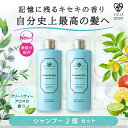 5％OFFゴクビプロ PREMIUMスカルプ シャンプー2個セット グリーンティーアロマ Gokubi-Pro 頭皮ケア 弱酸性 低刺激 フケ かゆみ ヘアケア ダメージケア 毛髪 ダメージレス キューティクルプラセンタエキス ツヤ サラサラ