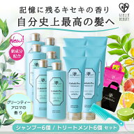 ゴクビプロ PREMIUM グリーンティーアロマ シャンプー＆トリートメント各6個セット(セットで20％OFF)シャ…