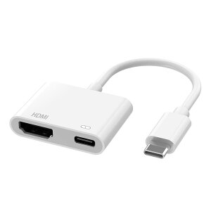 hdmi typec �ϊ� �^�C�vc hdmi �ϊ� hdmi �ϊ� �A�_�v�^ 2in1 USB-C�[�d�|�[�g�t�� �~���[�����O �ƒ뎋�� ��c�p