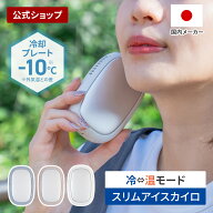 【マラソン期間クーポン配布&ポイント2倍】スリムアイスカイロ LCAEA022 Life on Products ライフオンプ…