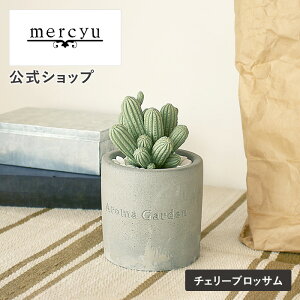 Tt!yz[tOX ϗtA A}fBt[U[ [hfBt[U[ V[[ mercyu MRU-73 CeA tOX T{e^  킢 u IuW