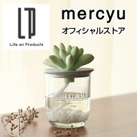 ディフューザー スティック リードディフューザー 大容量 mercyu リードディフューザー クリアエアー リードディフューザー スティック アロマディフューザー ルームフレグランス MRU-91 芳香 香り シンプル サボテン 多肉植物 ボタニカル 長持ち 人気 ギフト プレゼント