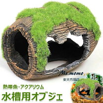楽天市場】コルク 爬虫類（水槽・アクアリウム内装｜熱帯魚 