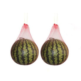 10PCS) (40cm（厚め、ロープ付き） 栽培用 通気 丈夫 メロン カボチャ 果物袋 園芸ネット 吊り下げスイカネット スイカ