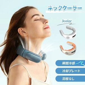 USB�t�@�� �l�b�N�N�[���[ ���肽���� �l�b�N�t�@�� �A�E�g�h�A �R���p�N�g ��p�v���[�g �W���M���O �H�Ȃ� type-C�[�d�� ��@ ��|����@ 3color �l�b�N�N�[���[ �g�ѐ�@ �܂��� �É�