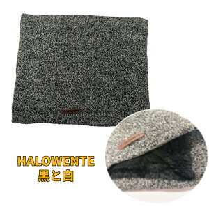 i撅30!!40OFFN[|!!jlbNEH[}[ }t[ fB[X Y jp g H ~ jbgXk[h ۉ h ʋ ʊw EI[LO jO s ] oCN 