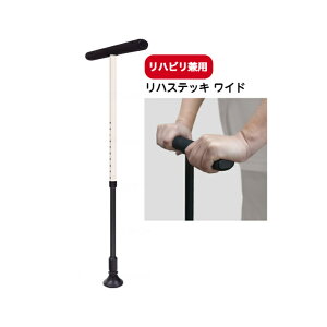 nrpynXebL ChztWz[  nr a@ {  ^ オ s K Lk   tC tC΍