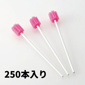 y TN 250{ ēH z f^PA uV I[PA  VjA  p pi   oPA opi X|W  Q 