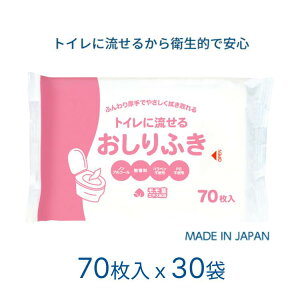 ӂ gCɗ^Cv   邨ӂ 70x30܁i14×20cmj 9426 xm  K@ gCObY pi N Vl VjA ݑ r a@ {