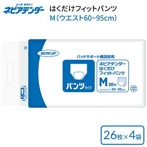 lsAe_[ ͂tBbgpc M iEGXg60`95cmj26×4ܓ TT40 qlsA | ނ pc^Cv l  pi N Vl VjA ނ Ic pc A