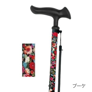  Lk 邪t@2i邪t@IIjLk WB521 tWz[   XebL  s⏕ Lk^Cv  pi ԕ 蕨v[g Mtg