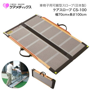 Ԉ֎q X[v PAX[v 70cm×100cm CS100 PAfBbNX  iX[v i Ԉ֎q Ԃ ԃCX X[v pi  N VjA Vl a@ { @l fCT