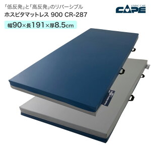 P[v }bgX  zXs^}bgX 900 CR-287i90×191×8.5cmj h~  Q ̈U pi ݑ { a@    o[Vu }bg 