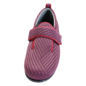 V[Y fB[X Y  y ݃V[Y _u}WbN3i_u}WbNIIIj i̔j 3E 1117 Y   C  { ݑ  RۉH hL 