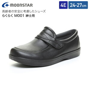 V[Y y 炭炭 M001 amp ̔ [X^[   C nrV[Y O O Y j Ch݌v 炩 ܐ VjA  pi N 
