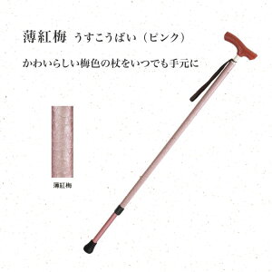 s JCmXaʁiWASAIj V[gTCY Vim | XebL  y  EH[LO   pi  VjA N Vl Nz 蕨 a  j 