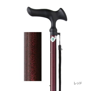 l_ 4_    XebL  邪E 4_DX WB377 tWz[   SG}[N _ s⏕ pi sT|[g N Vl VjA  Vv  nr 