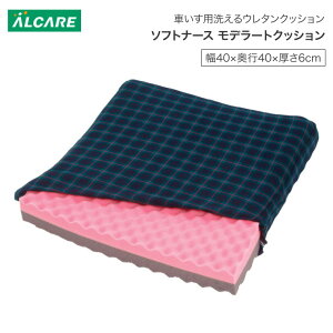 ԂpNbV \tgi[X f[gNbV 40×s40×6cm 20926 APA  NbV Ԉ֎qp ԃCX ̈U  pi N VjA Vl ̈ʕێ p