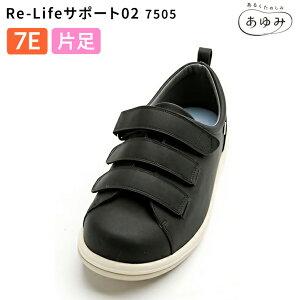 V[Y ΉV[Y ݃V[Y Re-LifeT|[g02iA[C[Ctj 7E 7505 ubNiБ̔jY  pC    p pi N Vl V