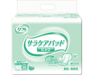 AƂpbh l   t TPApbh rbOiz850ccj 30×4 28×60.5cm 18300 uhDR[|[V  Apbh pbh^Cv lp ނ Ic g