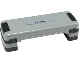 トーエイライト ステップ台 エアロビックステップ760（レギュラーサイズ） H-7207 │ レクリエーション 踏み台 エクササイズ フィットネス トレーニング用品 ステッパー ダイエット 有酸素運動 介護予防