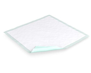 Apbh  TENA xbhX[p[ X^_[h 30×6ܓ 60×40cm 131090 jE`[ bP  xbhیV[g ĝ hV[c V[g ֑΍ R\h h~ q