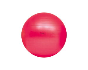 tBbglX{[ {[^ g[GCCg {fB[{[55  ő厞a55cm H-7261  NG[V {fB{[ Xgb` tBbglX g[jOpi oXg[j