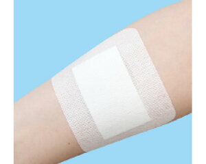 ~IGCh TteBpbhS No.8010 30 a  pi Spbh pi hbVO Jnp C菝 ؂菝 Ώ PK 蓖 n pbh 