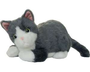 t@~[R~jP[V 点~C MC-R03 Qnd@  Fʂ l` R~jP[V 샍{bg ׂl` bZ[W^Đ v J_[ 