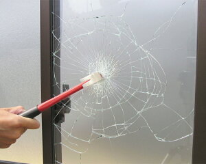 hƑ΍ObY hƃtB KXp 2i39×47×0.05cmj BGF4739   hƃObY hƃKX  D_ ЊQ΍ 䕗 nk KXUh~ |J[{l[g { S S N