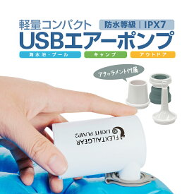 USB給電式エアーポンプ 電動空気入れ 3種類のアタッチメント付属 専用収納袋付き 軽量コンパクト設計 LP-LPUMP2 送料無料