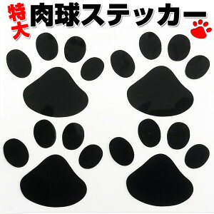 J[XebJ[() 8 傫TCY L   oCN ]  V[  Ƌ ① X[cP[X DIY fR[V LP-CSTNKBIG08 