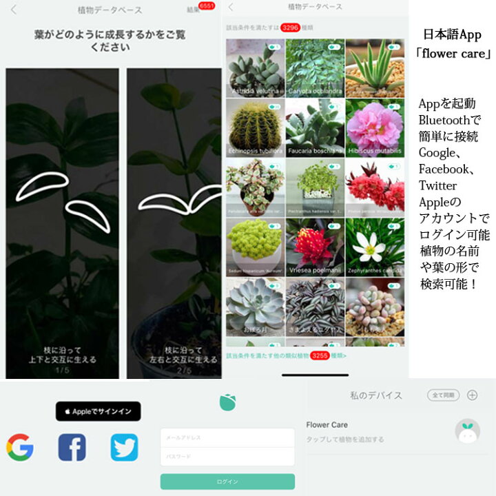 スマホ連動土壌テスター iPhone/Android対応 Appで植物の状態をチェック Flower Care 土壌測定 技術 透明ケース付き  LP-HHCC20G 送料無料 ライフパワーショップ