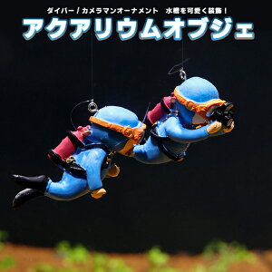 y2Zbgz_Co[  v I[ig ANAE   t[eBO{[ Mы  킢m ݂艺 LP-SODB02S 