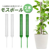 【2本セット】モスポール 支柱 連結可能 モンステラ 観葉植物 つる植物 着生植物 園芸支柱 水苔棒 ガーデ…