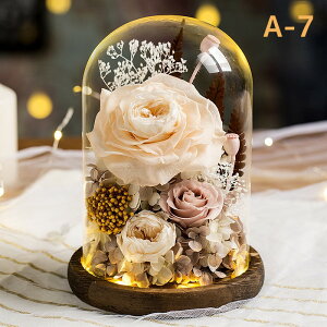 vU[h t[ ͂Ȃ  a  Mtg KN hCt[ t[ MtgKXh[ LEDCg ̂ aFB ̓ӂNւ̌hӋLOv[