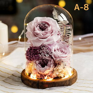 vU[h t[ ͂Ȃ  a  Mtg KN hCt[ t[ MtgKXh[ LEDCg ̂ aFB ̓ӂNւ̌hӋLOv[