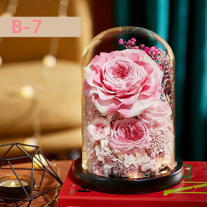 vU[h t[ ͂Ȃ  a  Mtg KN hCt[ t[ MtgKXh[ LEDCg ̂ aFB ̓ӂNւ̌hӋLOv[