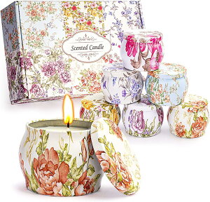 }Lh A} Mtg Zbg X^_[gȍ̃Zbg WX~ x_[ v[g MtgZbg