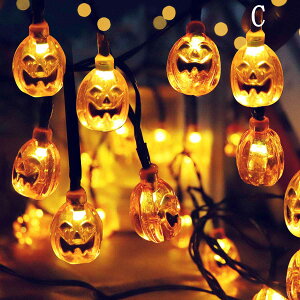 nEB J{` \[[ 5m 20 8ޓ_Ńp^[  LEDC~l[V 胉Cg Cg ledCg p[eB ~ Ղ͋̕C \[[Cg K[fCg 