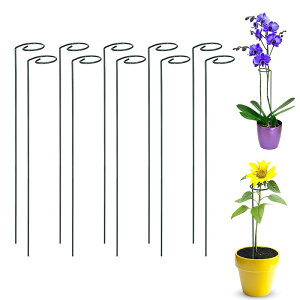 y|Cg 5{UP !z10{Zbg Ԃ Ax |x 鐫A ϗtx U x AT|[g t[X^h t[x Ԏx K[fjO _Ɨp |p